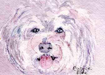 "Stella " by Eunice Eide, Madison WI - Watercolor